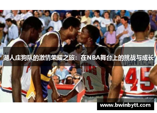 湖人庄狗队的激情荣耀之旅：在NBA舞台上的挑战与成长